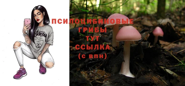 крисы Балабаново