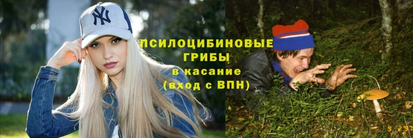 дмт Балахна